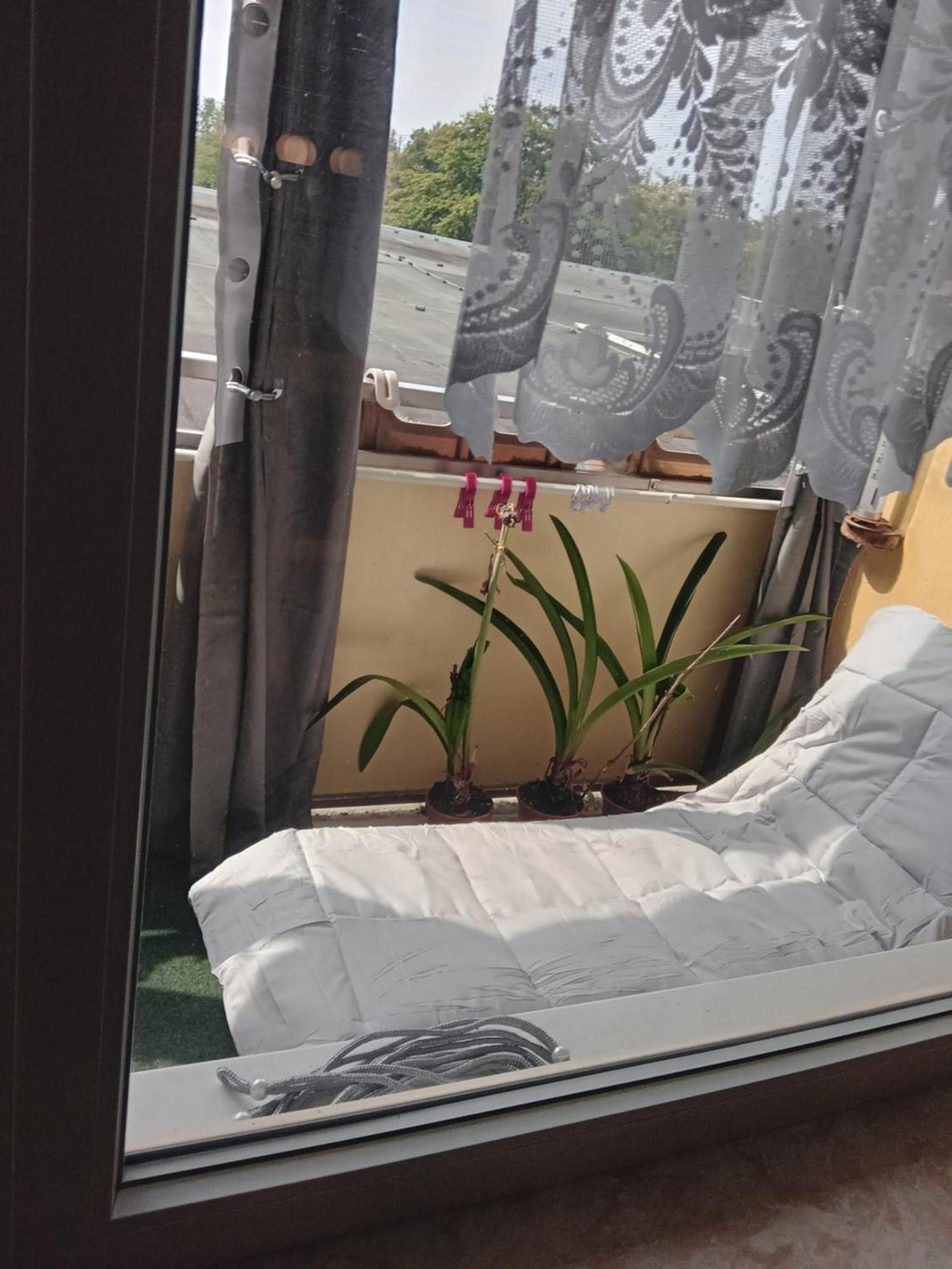 Wohnung 416, Am Kurpark 3, 38700 Braunlage Esterno foto